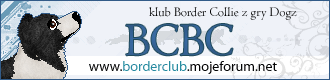 BCBC - Border Collie Breed Club